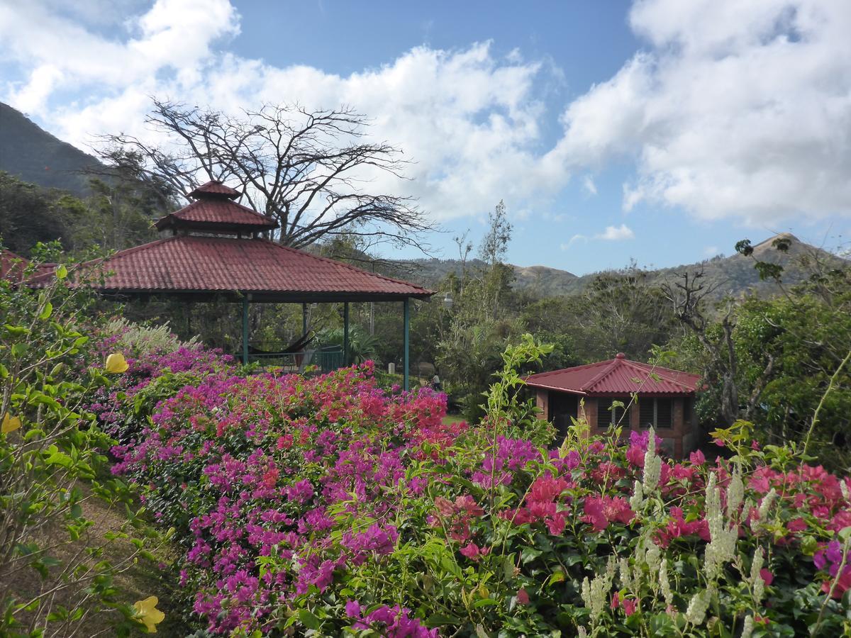 The Golden Frog Inn El Valle de Anton Exteriör bild